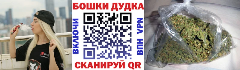 Где найти наркотики Светлоград Галлюциногенные грибы  ГАШ  Конопля 