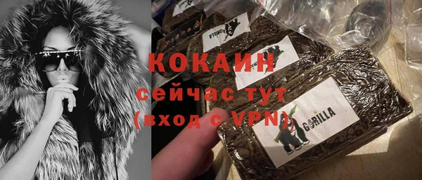 гидра Пестово