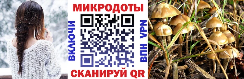 это Telegram  MEGA зеркало  Галлюциногенные грибы Magic Shrooms  Светлоград  цена  
