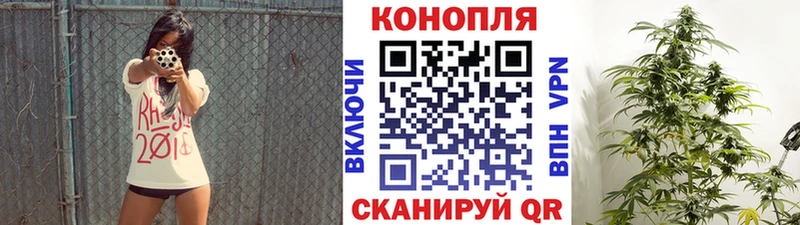 ОМГ ОМГ ТОР  Светлоград  Бошки Шишки Bruce Banner 